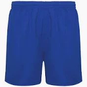 Stormfit Handball Shorts